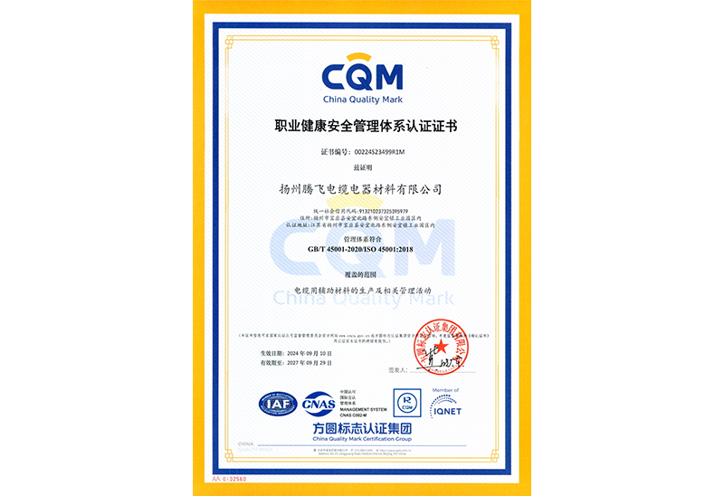 職業(yè)健康安全管理體系