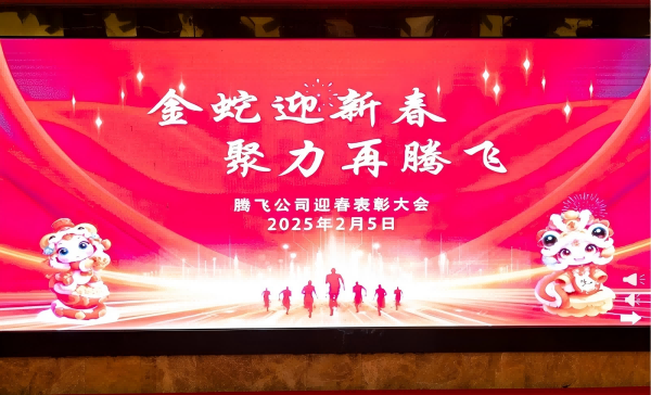騰飛公司召開迎春表彰大會